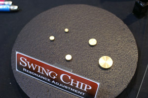chip.JPG